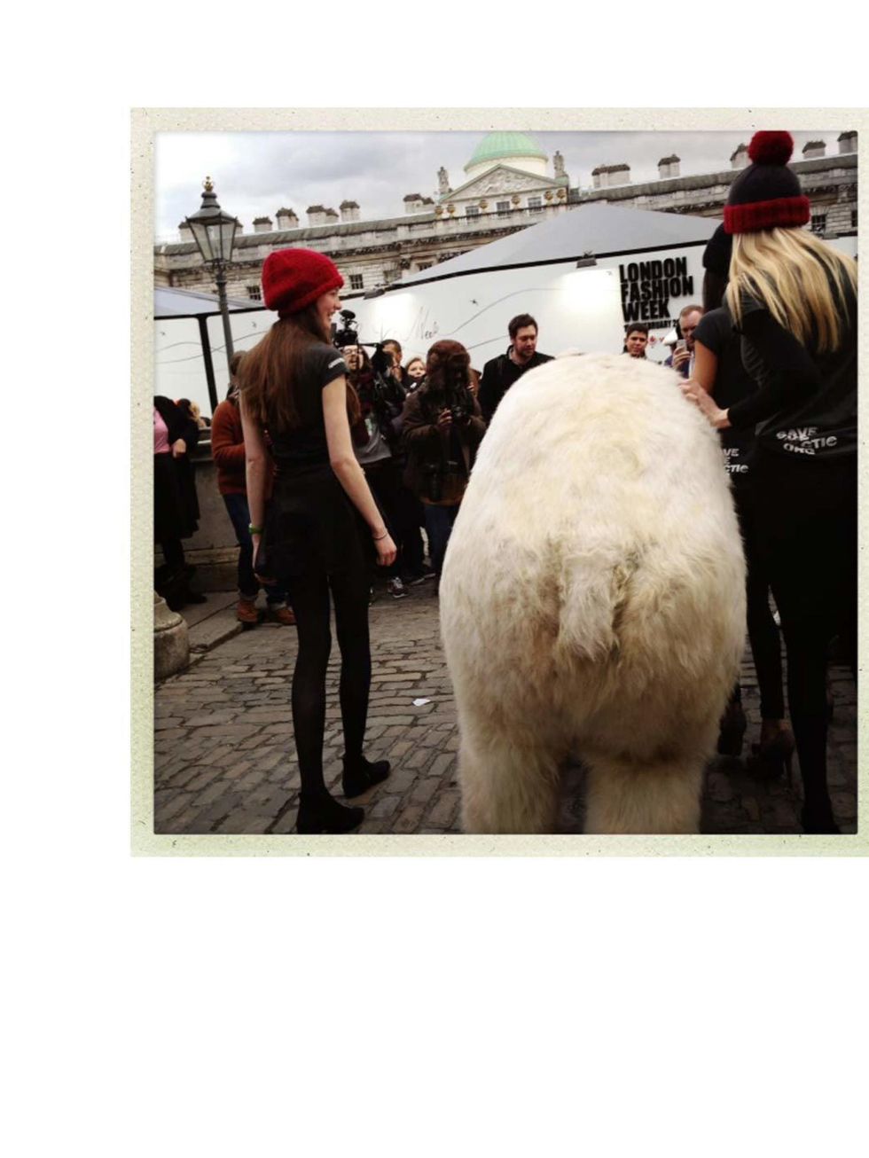 <p>Fashion week always throws up some random vents and sightings, and today was no different. Enter a giant polar bear and Somerset House...</p>