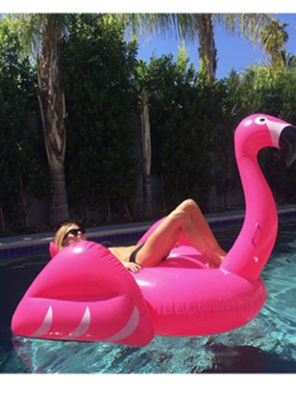 <p><strong>The Flamingo Float Shot </strong></p>

<p>Since Taylor and Calvin started the trend last summer, feeds have been swarming with pool floats in various shapes and sizes (aka Swans and Flamincos).</p>

<p>Picture: @Pernille</p>