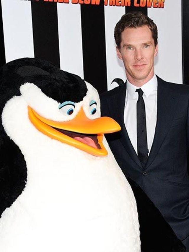 benedict-cumberbatch-penguins-of-madagascar-new-york-premiere-november-2014-getty-thumb