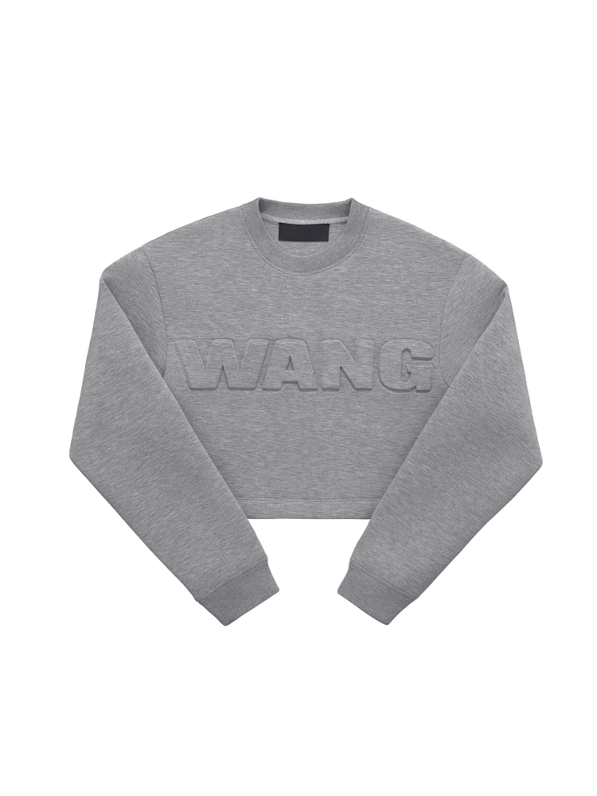 Alexander Wang X H M