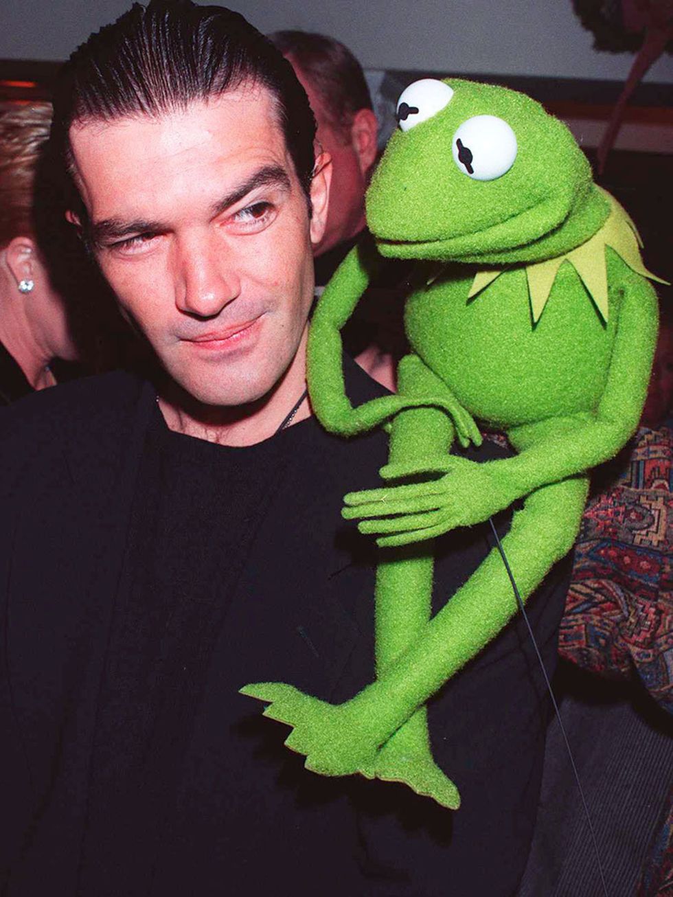 <p>Kermit can even upstage Antonio Banderas</p>