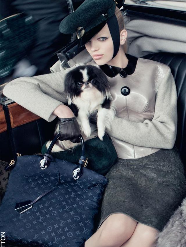 Louis Vuitton Dog Clothes -  UK