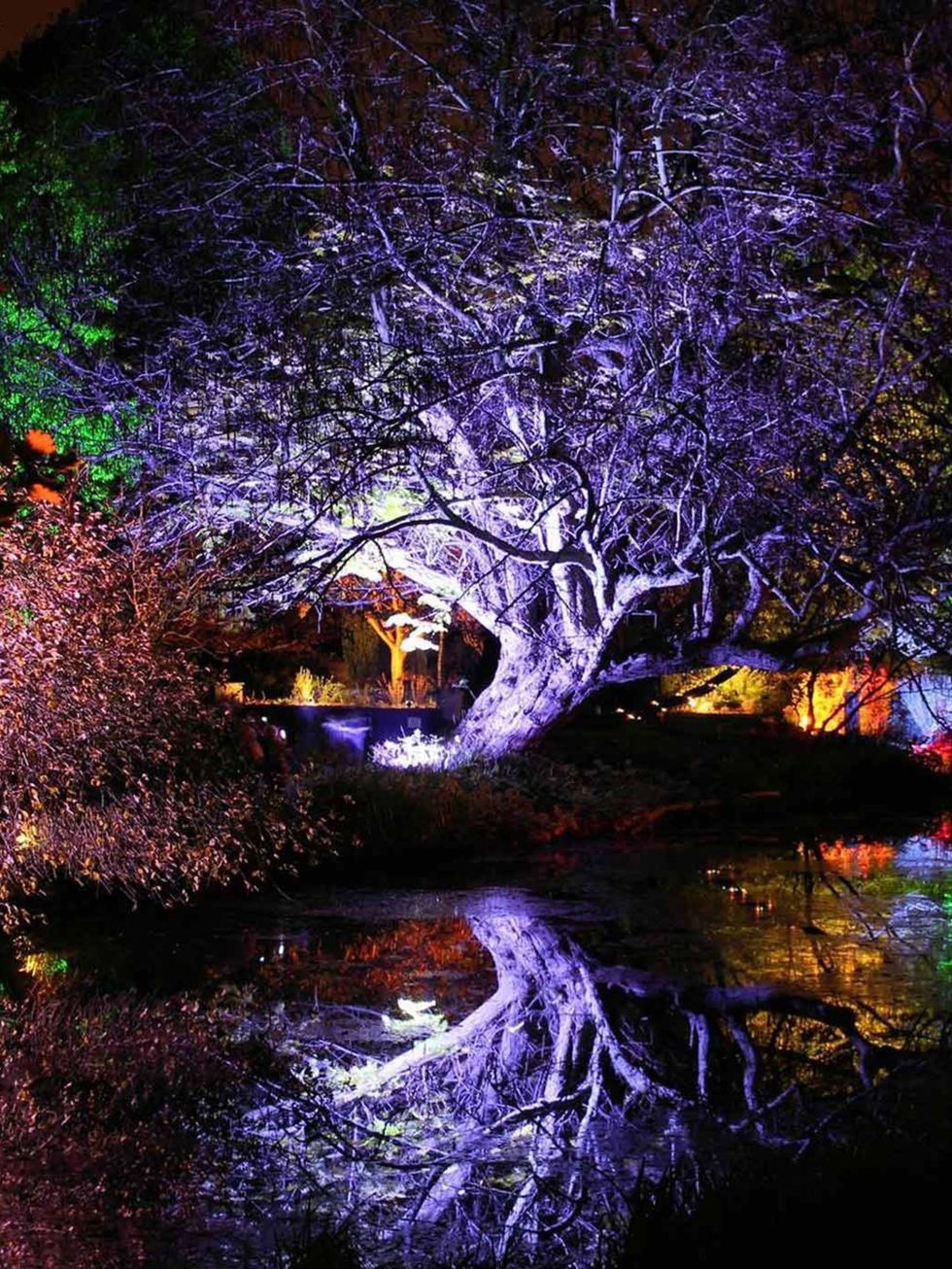 &lt;p&gt;&lt;strong&gt;Visit now&lt;/strong&gt;&lt;/p&gt;&lt;p&gt;However old you are the idea of exploring an enchanted woodland has its appeals. Each weekend between 5 and 9pm until 8th December the gardens of Syon House, Brentford will be transformed i