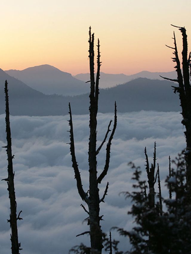 Mountain view in Bhutan | ELLE UK