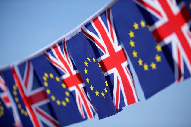 EU Referendum flags wave | ELLE UK