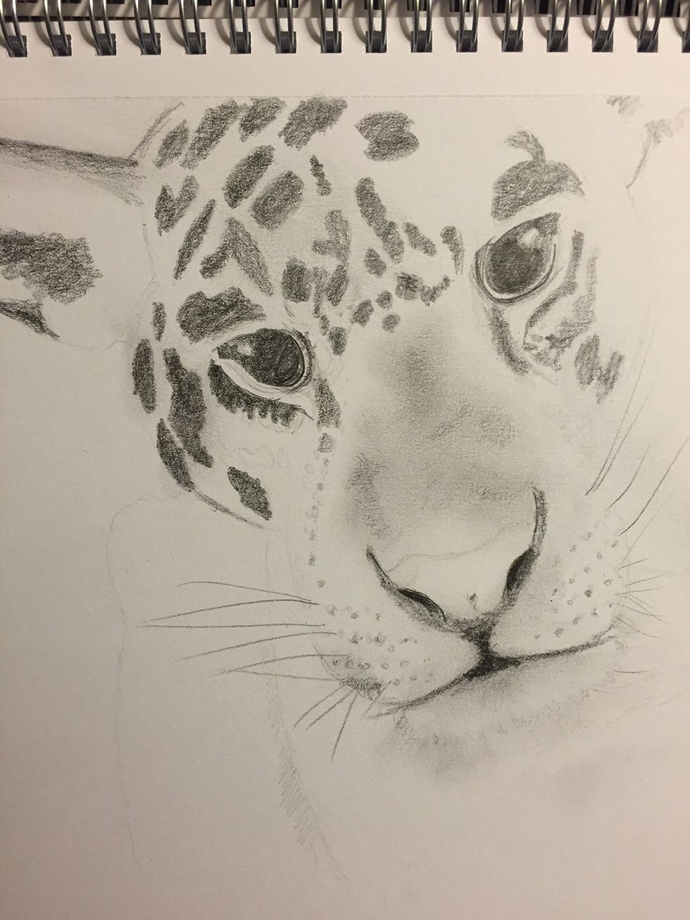 Debbie Black sketch of a Jaguar
