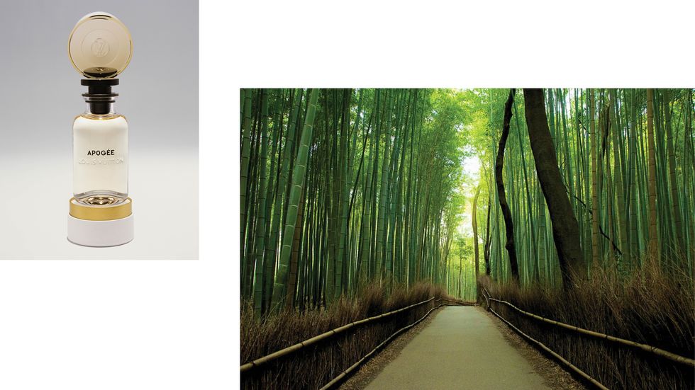 Apogée to the Arashiyama Bamboo Grove