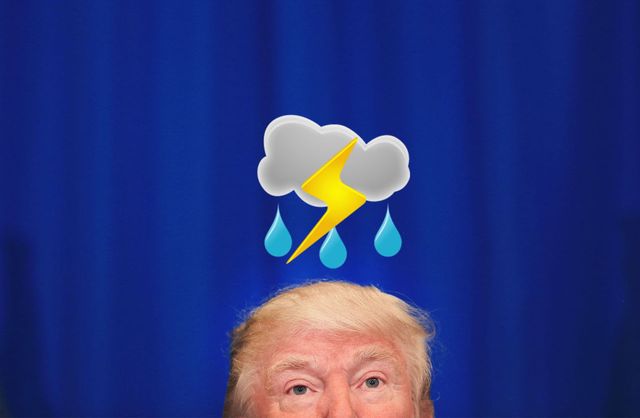 Donald Trump weather forecast
