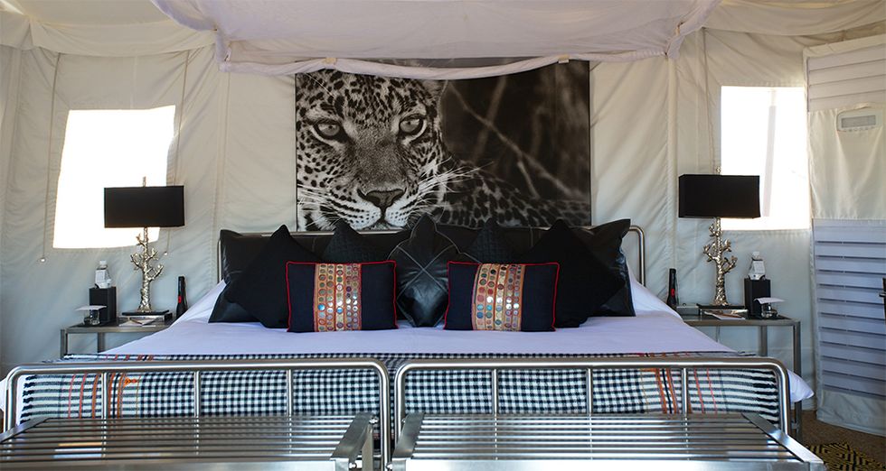 Jawai Leopard Camp, Rajasthan, India