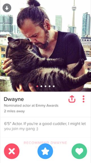 Animal tinder in 2 photos A purrfect