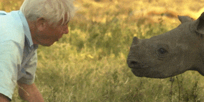 David Attenborough with a rhino | ELLE UK