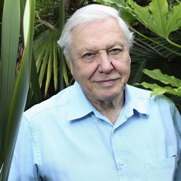 David Attenborough in the wilderness | ELLE UK