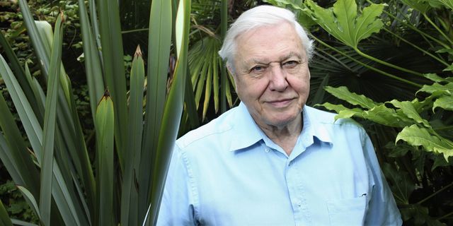 David Attenborough in the wilderness | ELLE UK