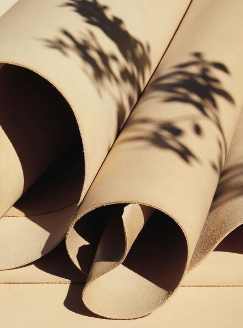 Tints and shades, Beige, Tan, Paper product, Material property, Design, Paper, Still life photography, Cylinder, Natural material, 