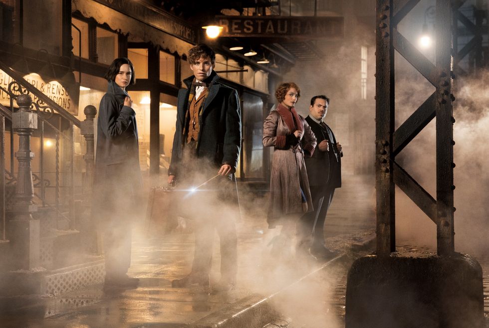 Fantastic Beasts And Where To Find Them | ELLE UK
