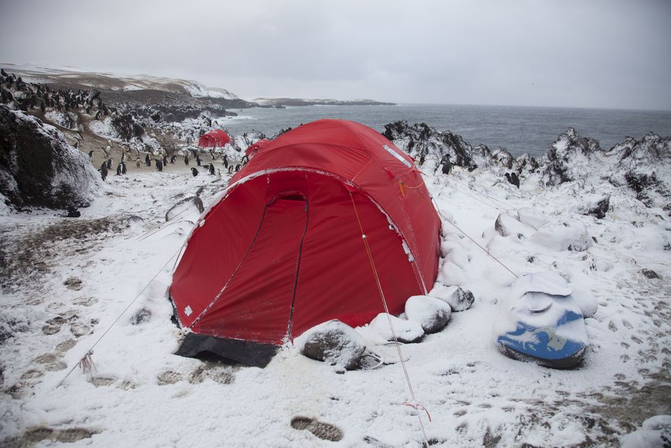 Tent | ELLE UK
