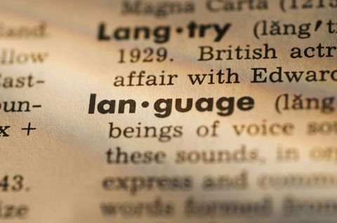 Dictionary Definition of Language for Merriam Webster 2016 Fascism Article