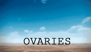 ovaries | ELLE UK JAN 2017