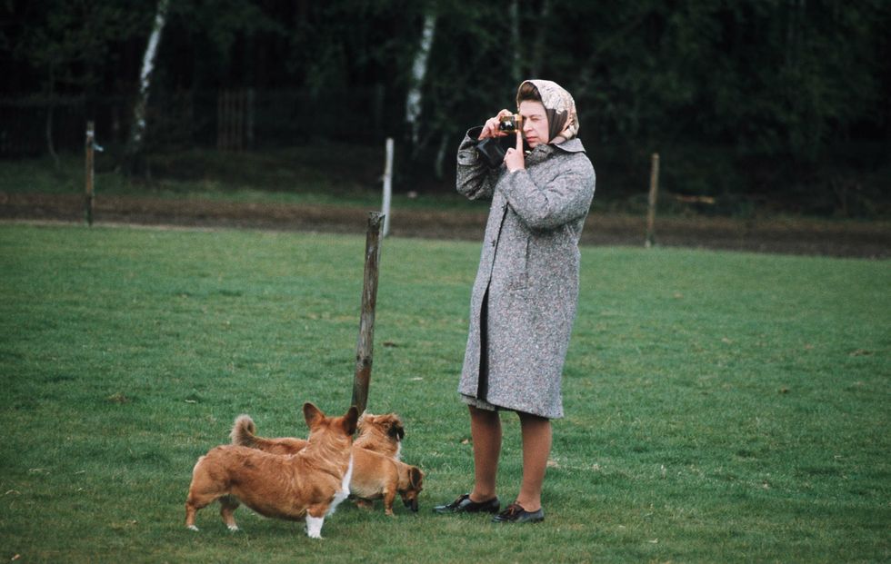 The Queen with corgis | ELLE UK