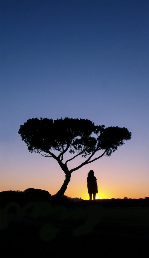 Human, Branch, Sky, Natural landscape, Horizon, Woody plant, Tints and shades, People in nature, Backlighting, Silhouette, 