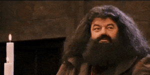 Harry Potter: Hagrid fist-pump reaction GIF