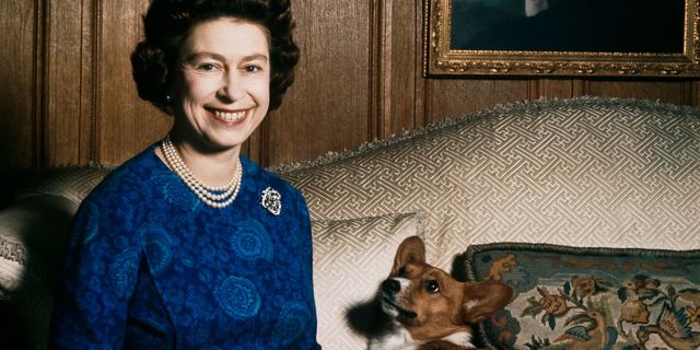 Queen Elizabeth II and corgis | ELLE UK