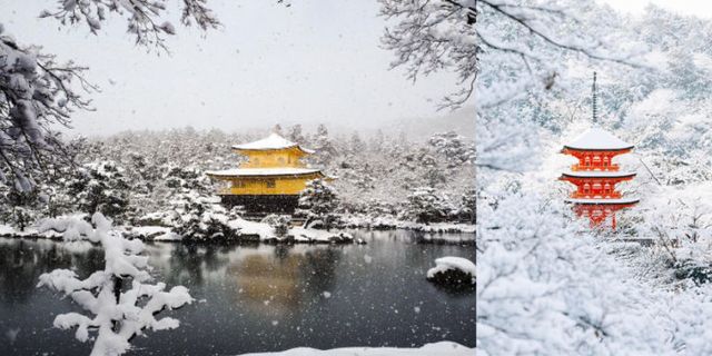 Winter, Nature, Branch, Chinese architecture, Freezing, Architecture, Snow, Japanese architecture, Botany, World, 