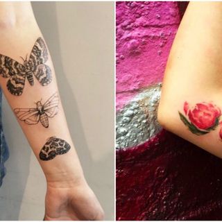 910+ Free Tattoo Ideas Vegan Idea Tattoo Photos