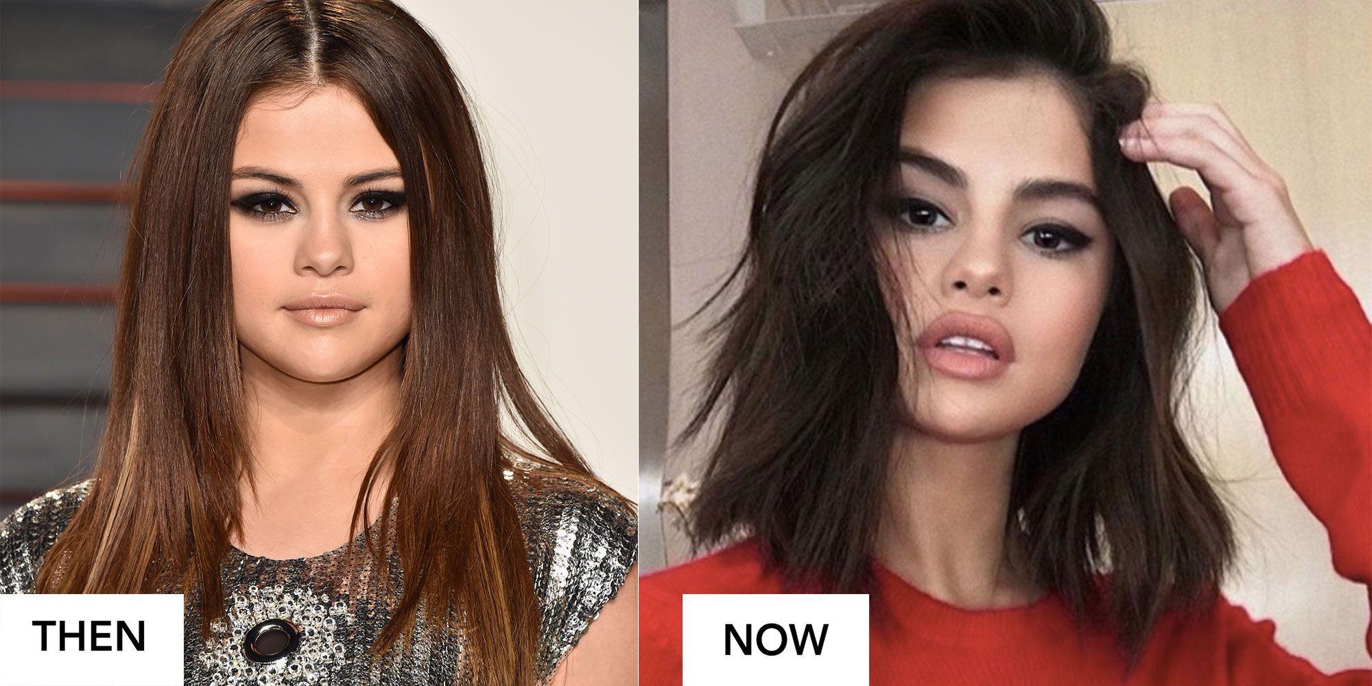 Celebrity Hair Transformations Long Short Brunette