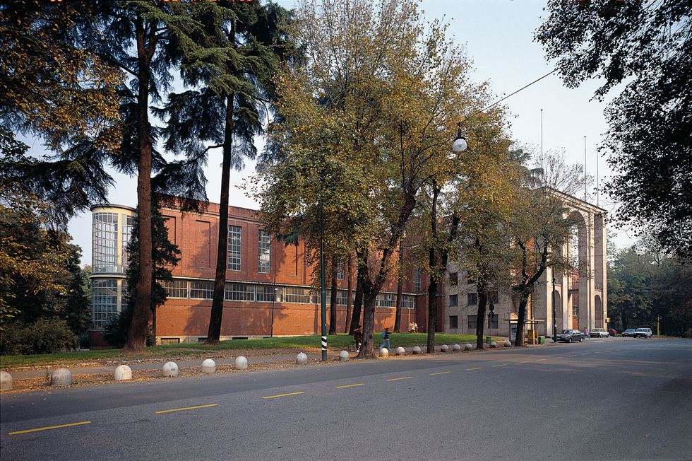 Branch, Road surface, Property, Neighbourhood, Road, Asphalt, Tree, Town, Residential area, Building, 