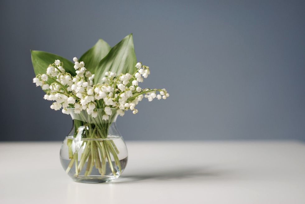 Petal, Flower, White, Bouquet, Cut flowers, Artifact, Vase, Still life photography, Flower Arranging, Botany, 