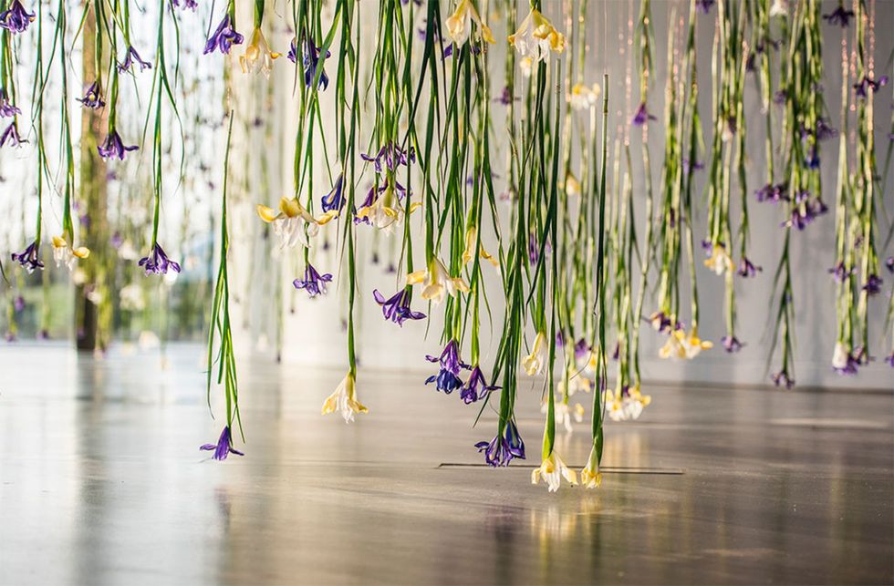 The Iris by Rebecca Louise Law at NOW Gallery, Peninsula Square, Greenwich