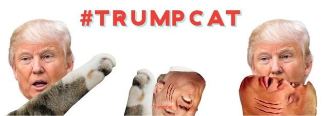 #TrumpCat