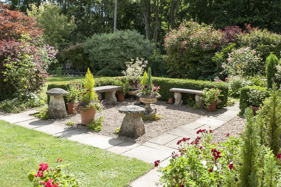 Shrub, Plant, Garden, Flower, Landscape, Petal, Groundcover, Backyard, Yard, Landscaping, 