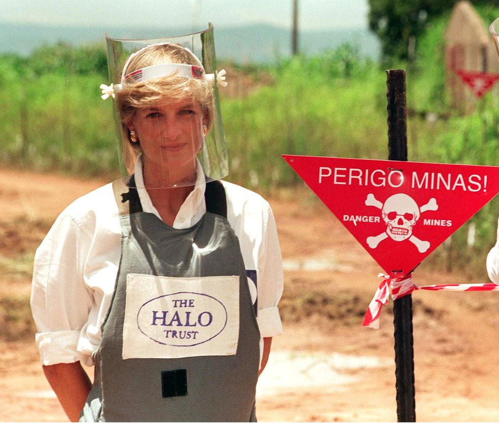 Princess Diana's charity work
