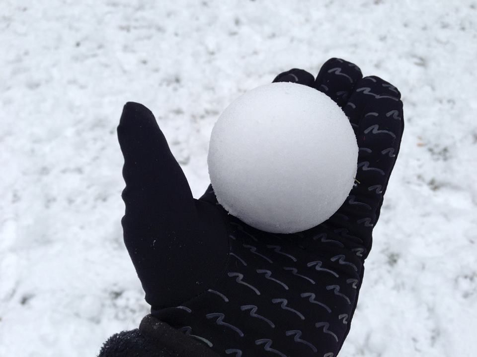 White, Black, Snow, Glove, Hand, Finger, Winter, Black-and-white, Egg, Photography, 