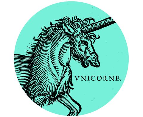 Seahorse, Mythical creature, Fictional character, Illustration, Logo, Syngnathiformes, Graphics, Unicorn, Circle, Clip art, 
