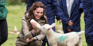 Kate Middleton feeding a lamb