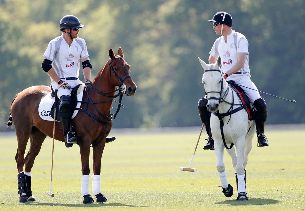 Prince Harry and William at Polo | ELLE UK