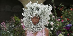 Water, Flower, Spring, Plant, Headgear, Headpiece, Shrub, Fashion accessory, Annual plant, Frost, 