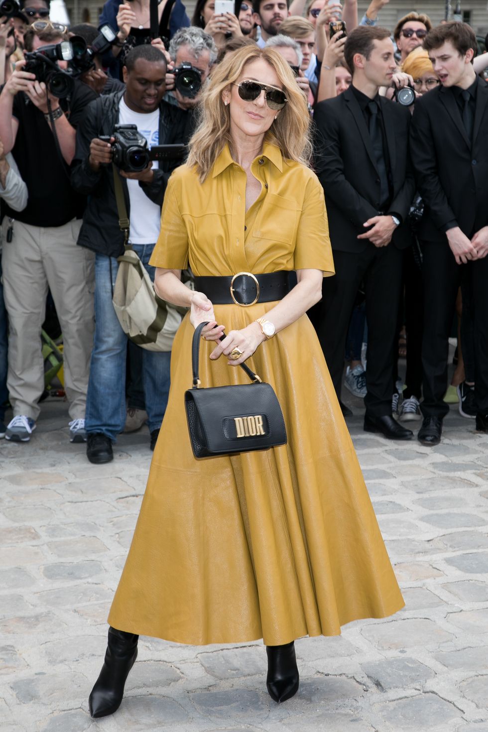 Celine Dion In Dior