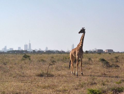 8 Reasons Why Your Favourite A-Listers Choose To Holiday In Kenya