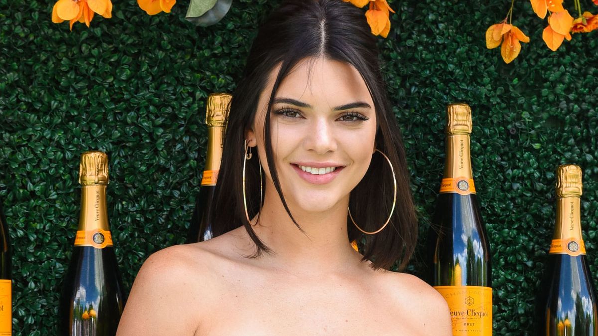 Kendall Jenner Shows Off Her Lingerie in Bedtime Selfies: Pics