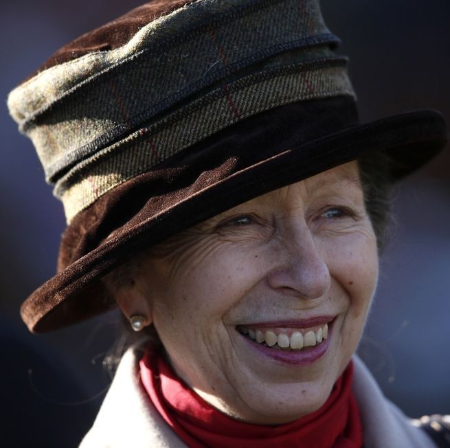 princess anne the princess royal 17th in line of succession to the british throne
