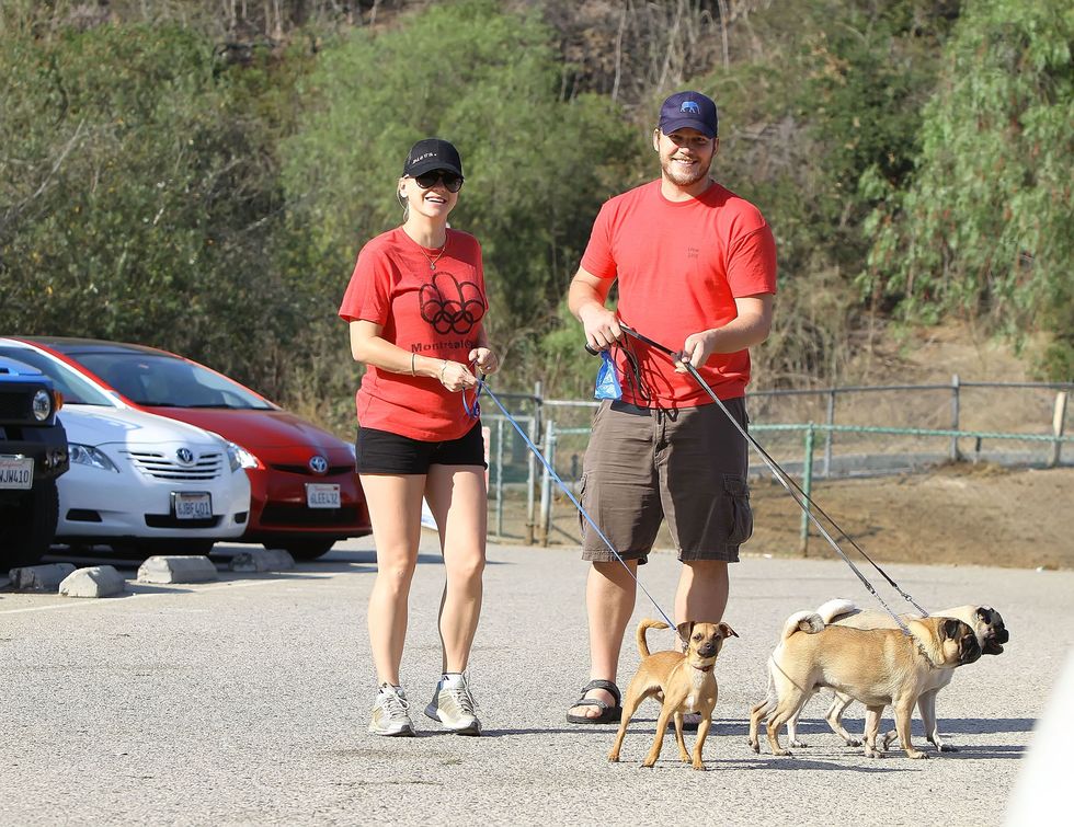 Dog walking, Jogging, Walking, Canidae, Dog, Recreation, Leash, Cani cross, Vehicle, Running, 