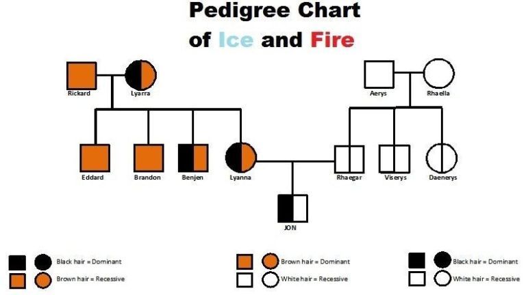 Text, Font, Diagram, Line, Design, Parallel, Brand, 