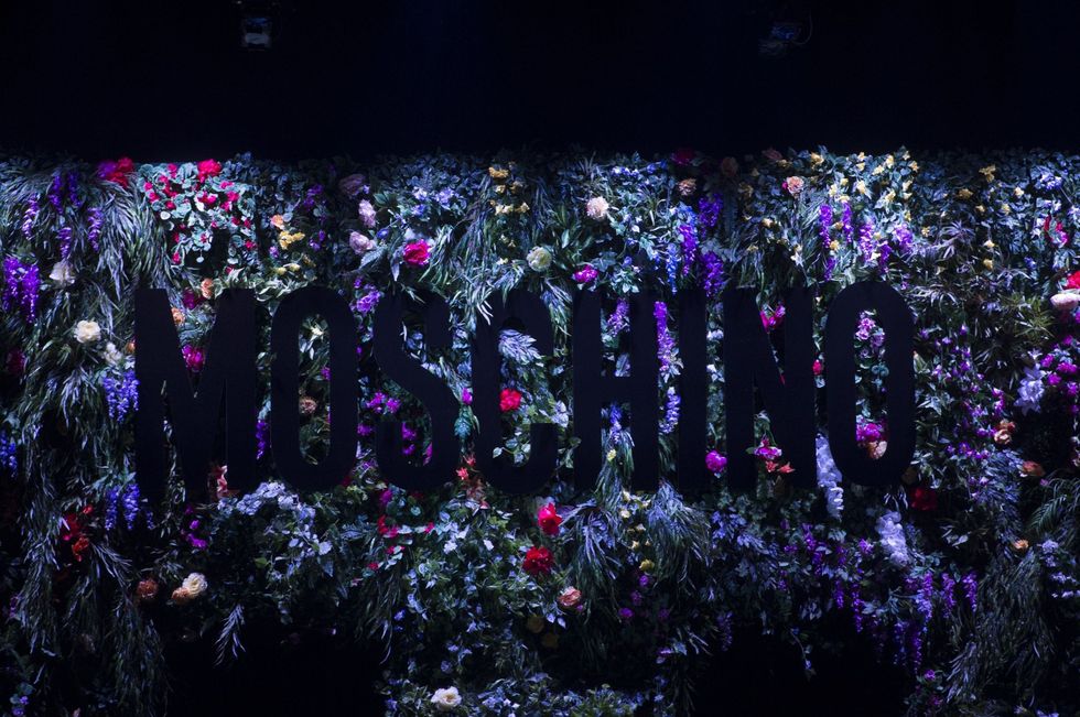 Purple, Violet, Lavender, Pink, Sky, Night, Plant, Tree, Flower, Performance, 