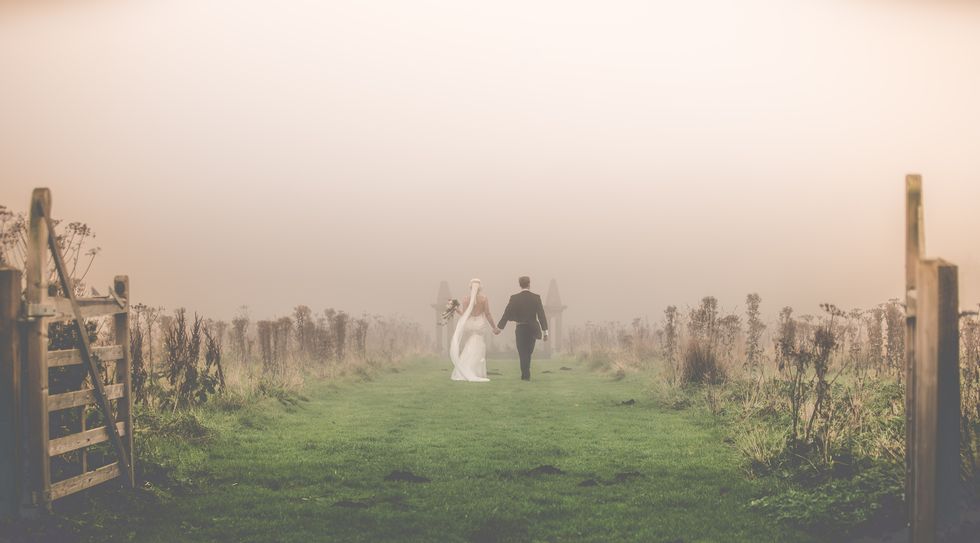 Fog, Atmospheric phenomenon, Mist, Sky, Haze, Morning, Atmosphere, Tree, Grass, Photography, 