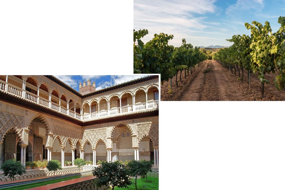 Architecture, Building, Estate, House, Real estate, Tree, Adaptation, Palace, Hacienda, Historic site, 