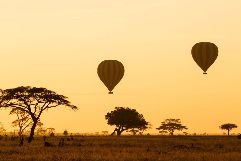 Hot air ballooning, Hot air balloon, Sky, Natural environment, Savanna, Air sports, Morning, Balloon, Safari, Tree, 